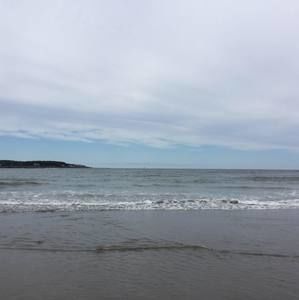 Meet your Posher, Suzanne